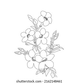 Allamanda Flower Coloring Page Line Art Stock Vector (Royalty Free ...