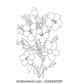 allamanda flower illustration with creative line art design for print coloring page