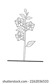 Allamanda flower sketch on white background. Allamanda flower vector illustration.