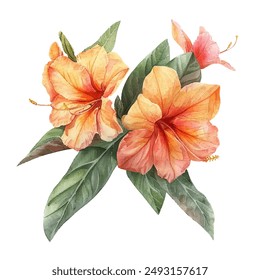 Ilustración vectorial floral de allamanda en estilo acuarela