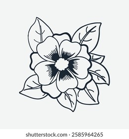 allamanda flower vector and image