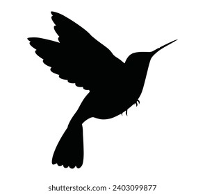 Allens hummingbird bird vector icon on white background.