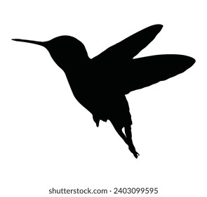 Allens hummingbird icon logo design template.