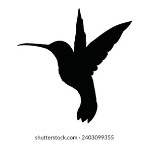 Allens hummingbird icon silhouette vector illustration.