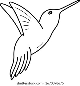 Allen's Hummingbird. Vector outline icon.