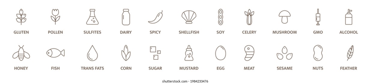 Allergen line icon big set. Nut, corn, milk, honey, gluten mustard, gmo sesame, lactose fish, egg mollusk free. Organic and natural food labels. Allergy warning ingredients. Vector illustration.