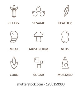 Allergen line icon set. Celery sesame, feather meat, mushroom nuts, corn, sugar mustard free badges. Allergy warning ingredients labels. Healthy food. Vector illustration.