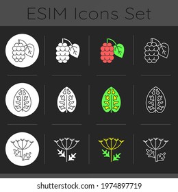 Allergens   allergy causes dark theme icons set  Dieffenbachia  dumb cane plant pollen  Queen Annes lace  Linear white  solid glyph   RGB color styles  Isolated vector illustrations