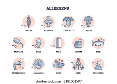 Allergens set as allergic products collection from food ingredients outline diagram. Labeled educational scheme with variety of gluten and peanuts items that cause health reaction vector illustration.