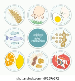 allergies and food intolerances infographics