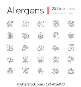 Allergy cause linear icons set  Queen Anne lace  Timothy grass  English plantain  Sesame seeds  Customizable thin line contour symbols  Isolated vector outline illustrations  Editable stroke