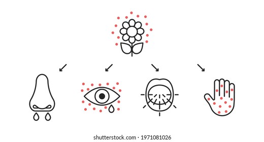 Allergy symptoms line icons, seasonal allergic. Inflammation of eyes, lacrimation, sneeze, blisters on skin, runny nose. Vector sign infographic illustration