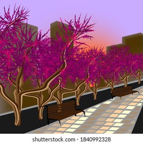 alley with maples, benches and a tile path