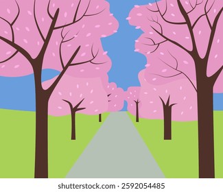 Alley of trees in bloom