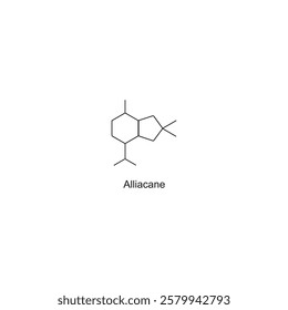 Alliacane skeletal structure.Sesquiterpene compound schematic illustration. Simple diagram, chemical structure.