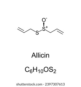 Allicin, chemical formula and structure. Organosulfur compound obtained from garlic. Chopping or crushing fresh garlic converts alliin into allicin which is responsible for the aroma of fresh garlic.
