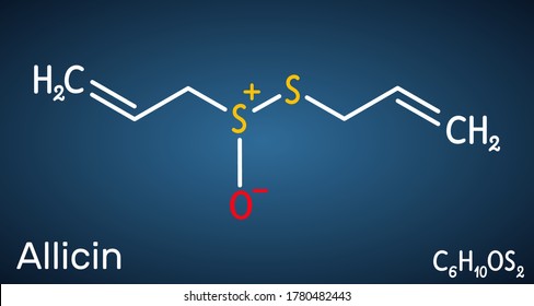 Allicin, sulfoxide molecule. This compound exhibits antibacterial and anti-fungal properties. Structural chemical formula on the dark blue background. Vector illustration