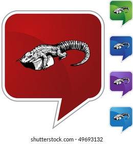 Alligator