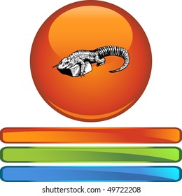 Alligator