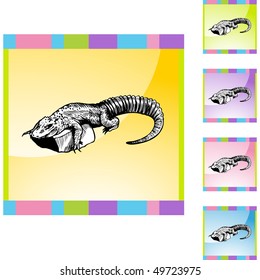 Alligator