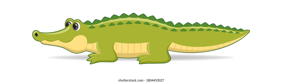 Alligator animal standing on a white background. Cartoon style vector illustration