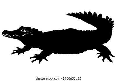 Alligator Black Vector Silhouette on white background, Crocodile Vector Illustration.  Wild Animals. Reptile.