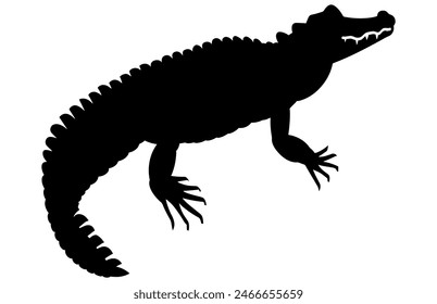 Alligator Black Vector Silhouette on white background, Crocodile Vector Illustration.  Wild Animals. Reptile.