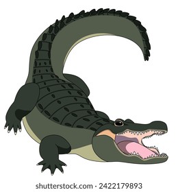 alligator cartoon illustration, wild animals