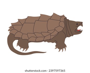alligator or common snapping turtle wild reptile animal with mouth sharp tooth danger predator creature
