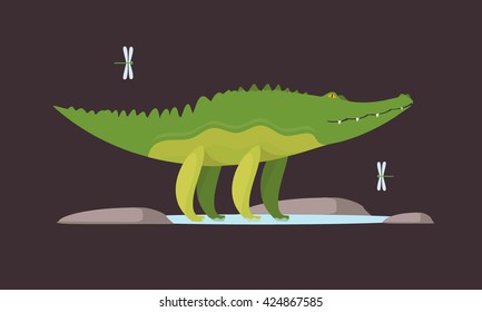 Alligator. Crocodile cartoon.
