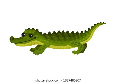 Alligator Crocodile with Long Tail and Sharp Teeth as African Animal Vector Illustration