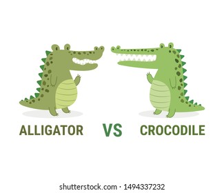 Alligator and crocodile vector illustration cartoon isolated on white background. The difference between alligator and crocodile. 