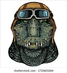 Alligator. Crocodilia. Portrait of african agressive animal. Vintage aviator helmet with googles.