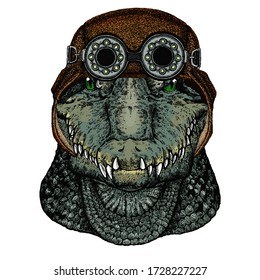 Alligator. Crocodilia. Portrait of african agressive animal. Animal wearing aviator flying leather helmet with googles.