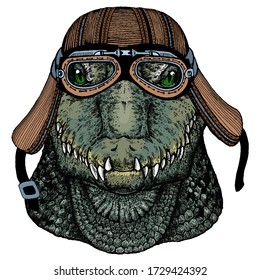 Alligator. Crocodilia. Portrait of african agressive animal. Motorcycle helmet.