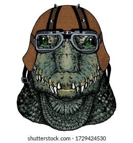 Alligator. Crocodilia. Portrait of african agressive animal. Motorcycle helmet.