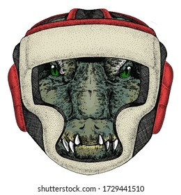 Alligator. Crocodilia. Portrait Of African Agressive Animal. Boxing Helmet.