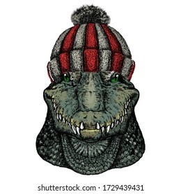 Alligator. Crocodilia. Portrait of african animal. Knitted wool winter hat.