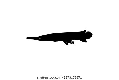 Alligator Fish Silhouette, can use for Art Illustration Logo Gram, Pictogram, Website, or Graphic Design Element. Vector Illustration