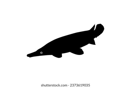 Alligator Fish Silhouette, can use for Art Illustration Logo Gram, Pictogram, Website, or Graphic Design Element. Vector Illustration