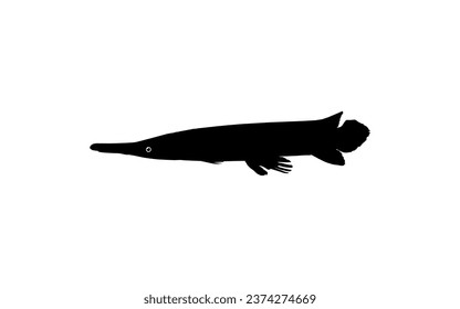 Alligator Fish Silhouette, can use for Art Illustration Logo Gram, Pictogram, Website, or Graphic Design Element. Vector Illustration