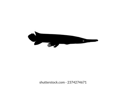 Alligator Fish Silhouette, can use for Art Illustration Logo Gram, Pictogram, Website, or Graphic Design Element. Vector Illustration