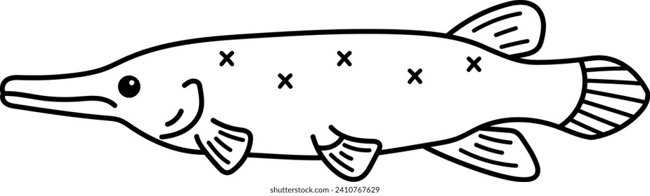 Alligator gar isolated vector illustration
