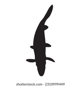 alligator gar silhouette, animal vector illustration.