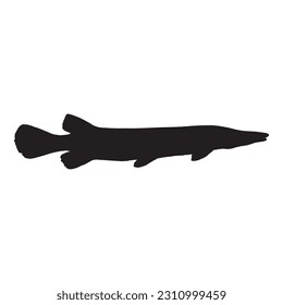 alligator gar silhouette, animal vector illustration.