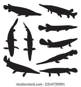 alligator gar silhouette, animal vector illustration set collection