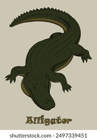 Alligator graphic vector illustration. Suitable for children's education, illustrations, decoration, etc