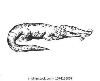 Alligator with human hand in mouth engraving vector illustration. Scratch board style imitation. Black and white hand drawn image.