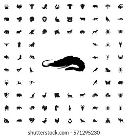 alligator icon illustration isolated vector sign symbol