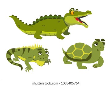 alligator, iguana and turtle on white background. vector illustration